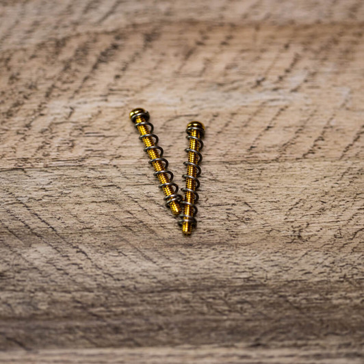 TV Jones humbucker mounting screws with springs