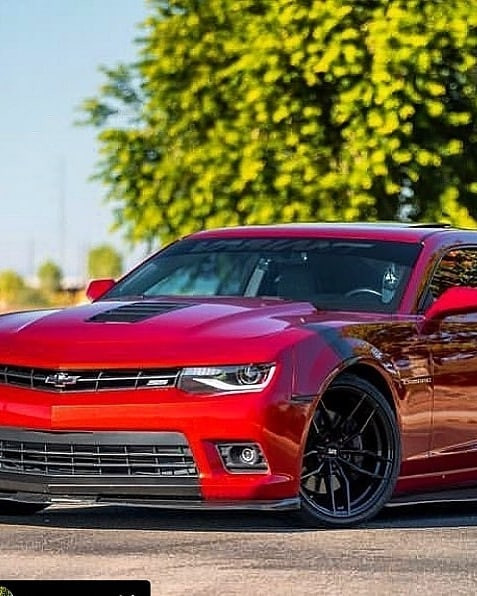 shelby tail light conversion kit on Bntyg Nbhlbpm