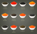 A Guide to the Most Common Caviar Species