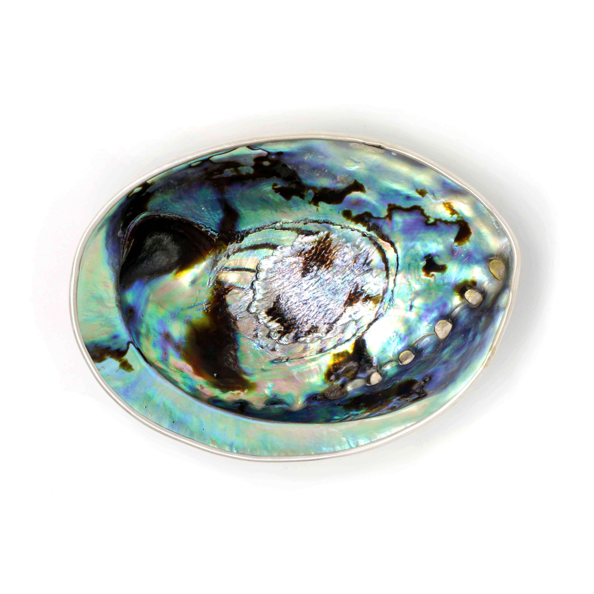 Abalone Shell Sport Top – Cape Cali