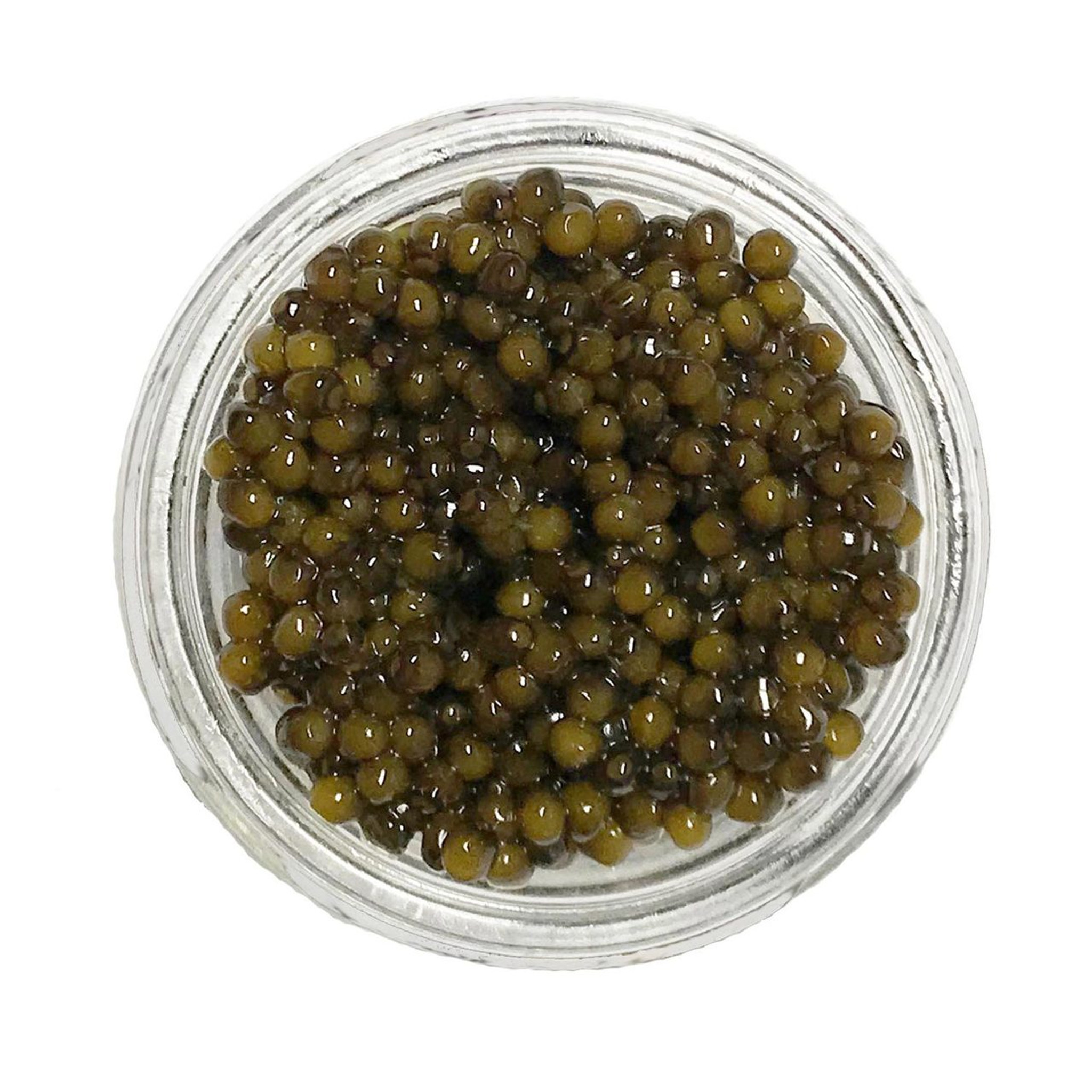 Royal Beluga Bester Hybrid - Caviar Star