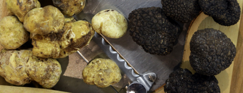 Differences Between Black and White Truffles