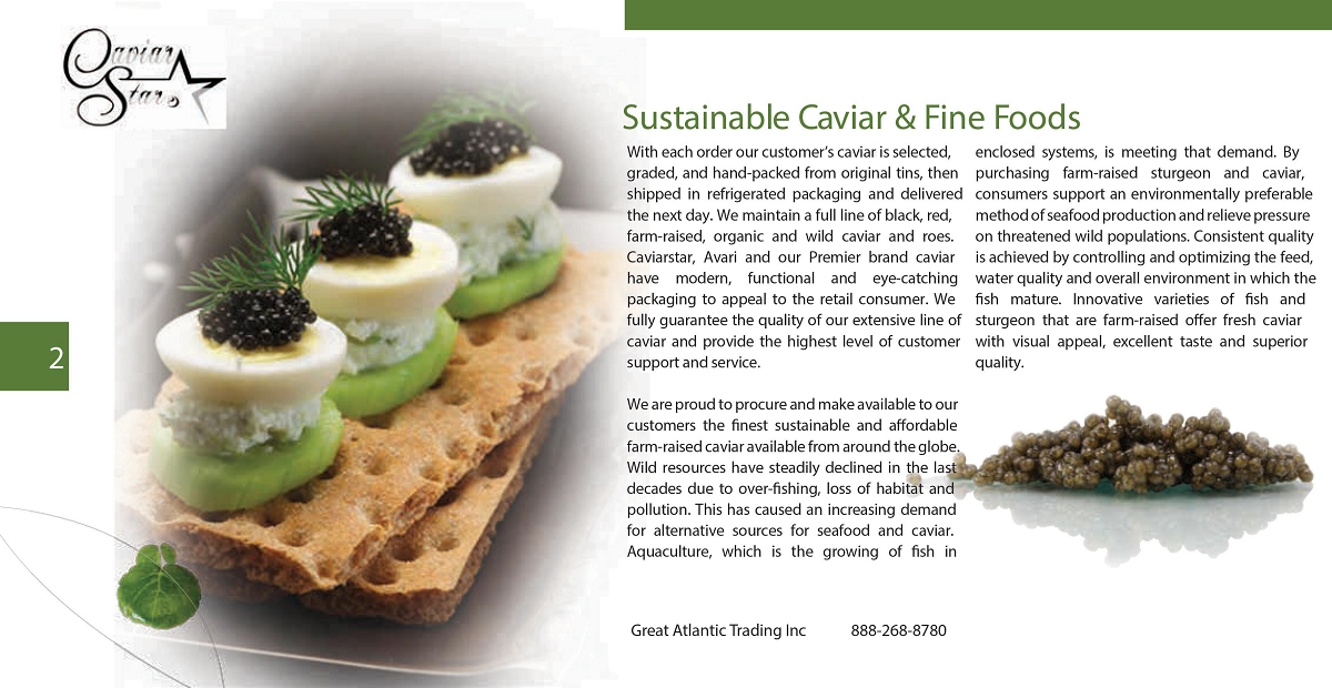 caviar-star-catalog-3.png