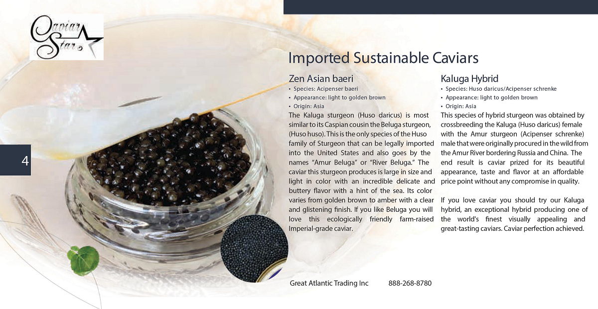 caviar-star-catalog-5.png