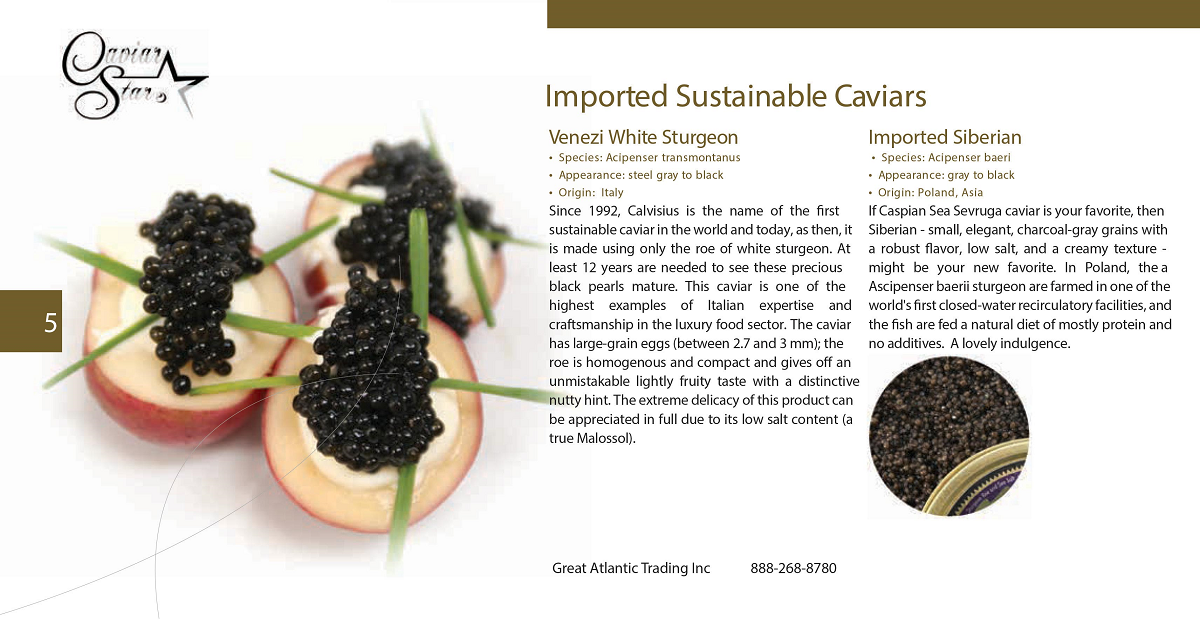 caviar-star-catalog-6.png