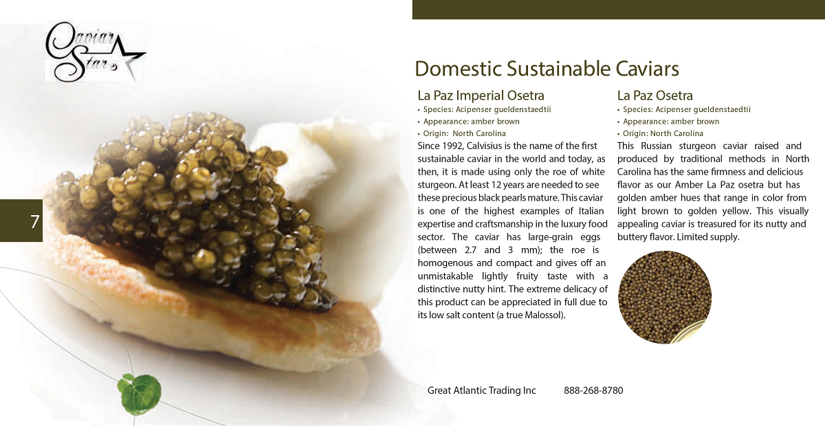 caviar-star-catalog-8.png