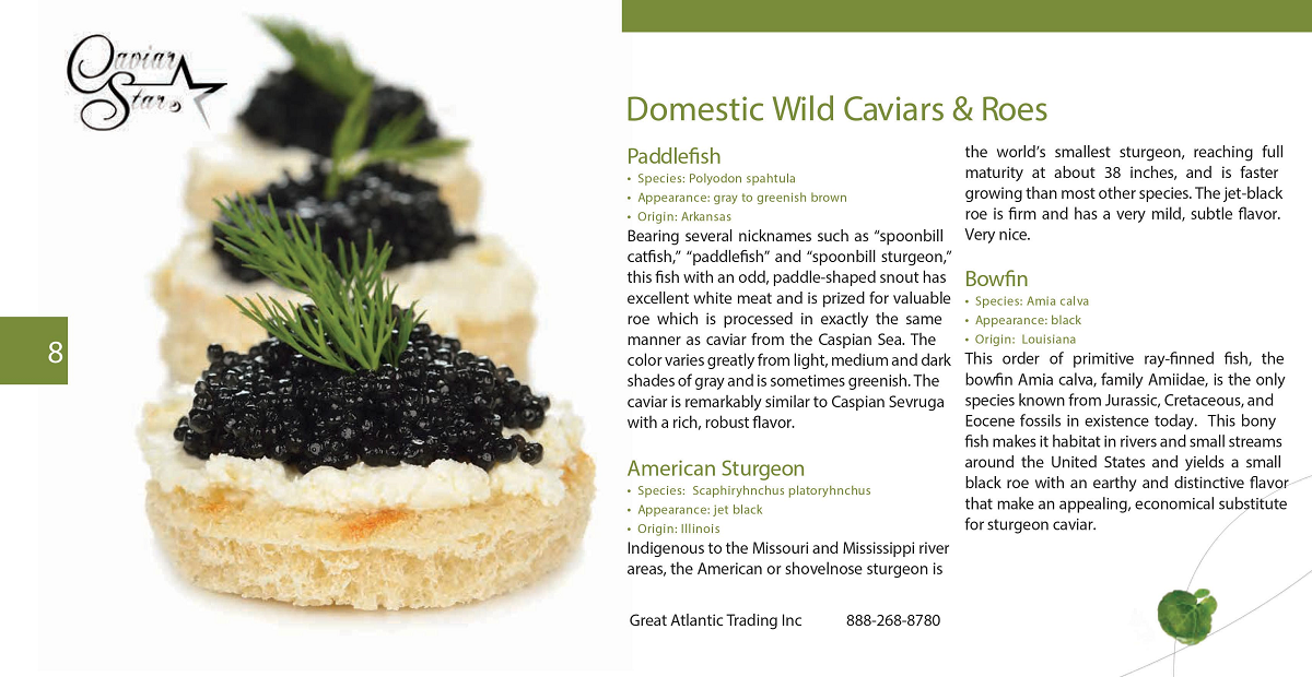 caviar-star-catalog-9.png