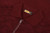 Burgundy red polo shirt, "Vanisé Express" jacquard weave, crocodile detail