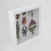 Needle Felted Insect Specimens in Glass Curio Display Box (10x10)