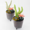 Needle Felted Cactus Garden in Black Ceramic Planter