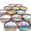Mini Wool Landscape Painting: Needle Felted Fiber Art (White Barn) 3 Inch Round Frame