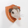 Needle Felted Opossum Portrait with Acorn Hat