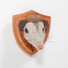 Needle Felted Opossum Portrait with Acorn Hat