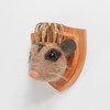 Needle Felted Possum Portrait with Crown