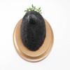 Needle Felted Crow Portrait with Laurel Wreath Crown (Corvid Collection)
