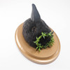 Needle Felted Crow Portrait with Laurel Wreath Crown (Corvid Collection)