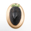 Needle Felted Crow Portrait with Laurel Wreath Crown (Corvid Collection)