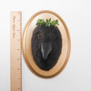 Needle Felted Crow Portrait with Laurel Wreath Crown (Corvid Collection)