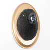 Needle Felted Crow Portrait with Stolen Glass Marble (Corvid Collection)