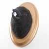 Needle Felted Crow Portrait with Stolen Glass Marble (Corvid Collection)