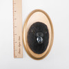 Needle Felted Crow Portrait with Stolen Glass Marble (Corvid Collection)