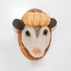 Needle Felted Opossum Portrait (Pumpkin Hat)
