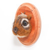 Needle Felted Chipmunk Portrait with Acorn Hat