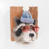 Needle Felted Raccoon Portrait (Knit Hat and Sunglasses)