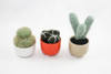 Miniature Felted Cactus in Colorful Ceramic Pot (Choose Your Needle Felted Succulent)