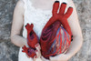 Needle Felted Anatomical Heart (XS)