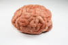 Needle Felted Brain