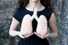 Needle Felted Lungs