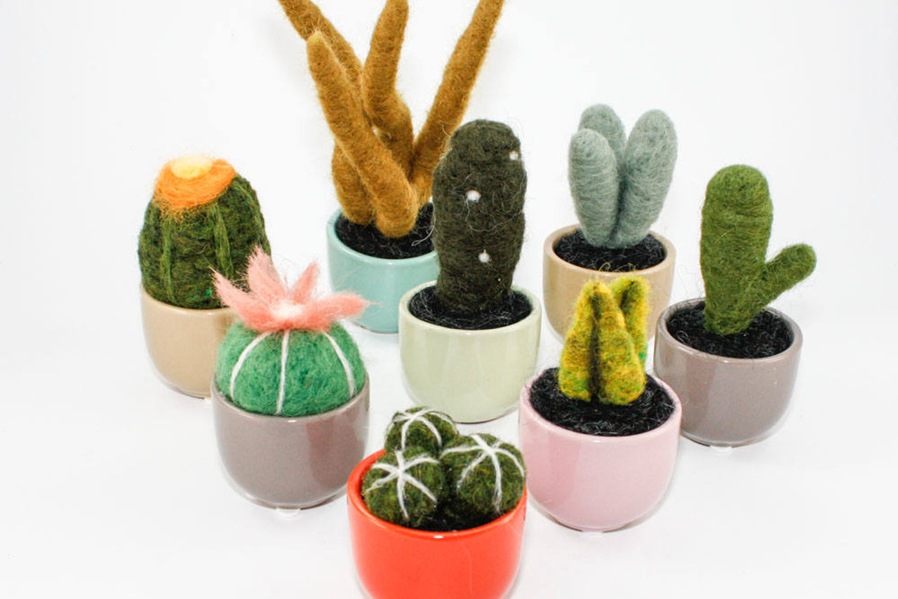 Mini Cacti & Succulent DIY Sculpting Kit