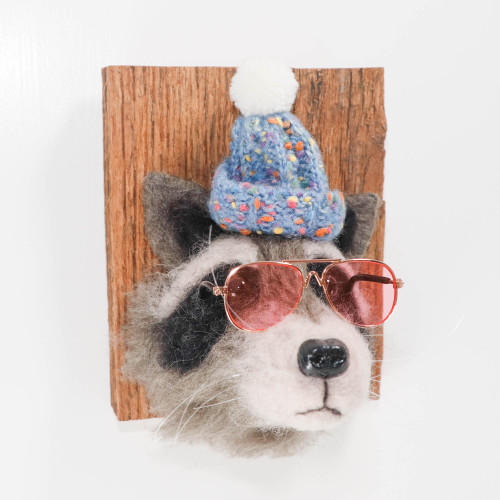 Needle Felted Raccoon Portrait (Knit Hat and Sunglasses)