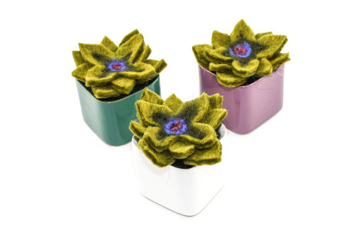 Needle Felted Succulent in Colorful Ceramic Pot (Choose Your Color)