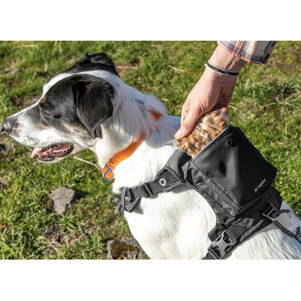 KRY clothing CROSS HARNESS シルバースタッズ 地雷系 CROSS HARNESS」 | KRY clothing