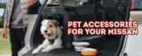 Pet Owners: How to Keep Fur and Scratches Out of Your Car