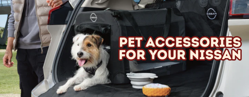 Pet Owners: How to Keep Fur and Scratches Out of Your Car
