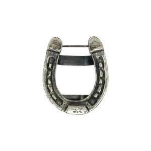 Slide - Horseshoe