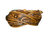 1 1/2" Floral belt with taper
