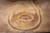 16" Dave Pollat - Used #3435