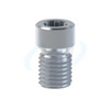 Neodent GM Abutment - Ti Screw RP