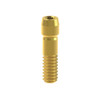 Osttem Implant/Hiossen TSIII - Ti Screw TiN D-4.0