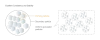DUO UPD Technology