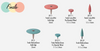 Finale Final Contouring System - Specifically designed to safely refine thin zirconia and Lithium Disilicate margins. Uniquely shaped fine diamond particles allow for gentle final contouring without chipping or heat transfer, and are particularly well suited for final contouring of thin margins. Finale™ points permit access to difficult to reach areas. Finale™ instruments are available in coarse and medium. 

Finale™ instruments are great for final contouring after using your RedBerry® or BlueBerry®.