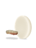 Harvest Esthetic DCL Denture, 98.5 x 25mm, A2