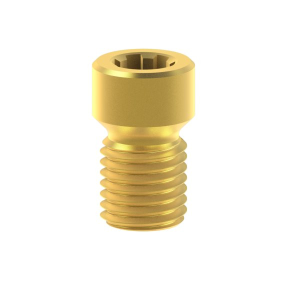 Neodent GM Abutment - Ti Screw TiN RP