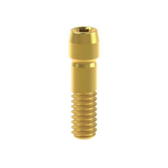 Osttem Implant/Hiossen TSIII - Ti Screw TiN D-4.0
