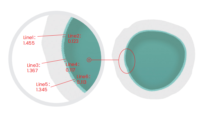 Biomic Color Opaque Liquid System