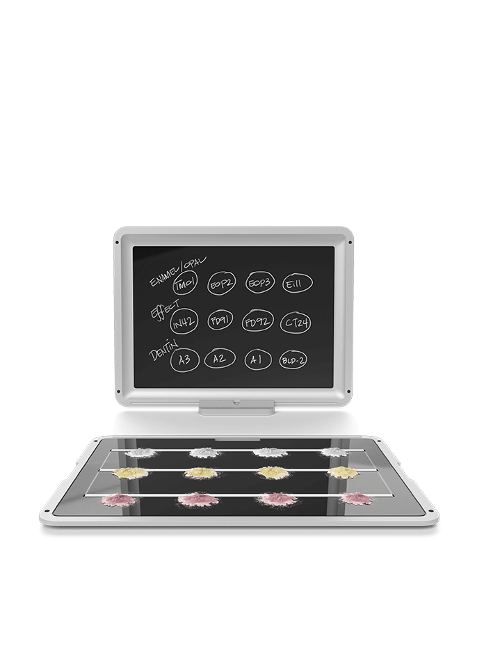 Tray by Harvest